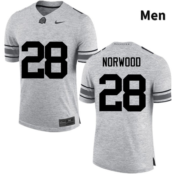 Men's Ohio State Buckeyes #28 Joshua Norwood Gray Game College Stitched Football Jersey 23TE046YV